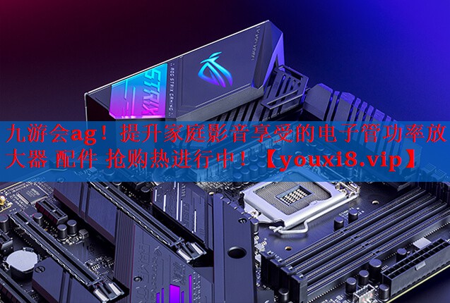九游会ag！提升家庭影音享受的电子管功率放大器 配件 抢购热进行中！