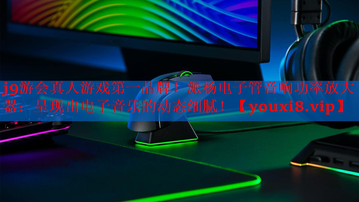派杨电子管音响功率放大器：呈现出电子音乐的动态细腻！