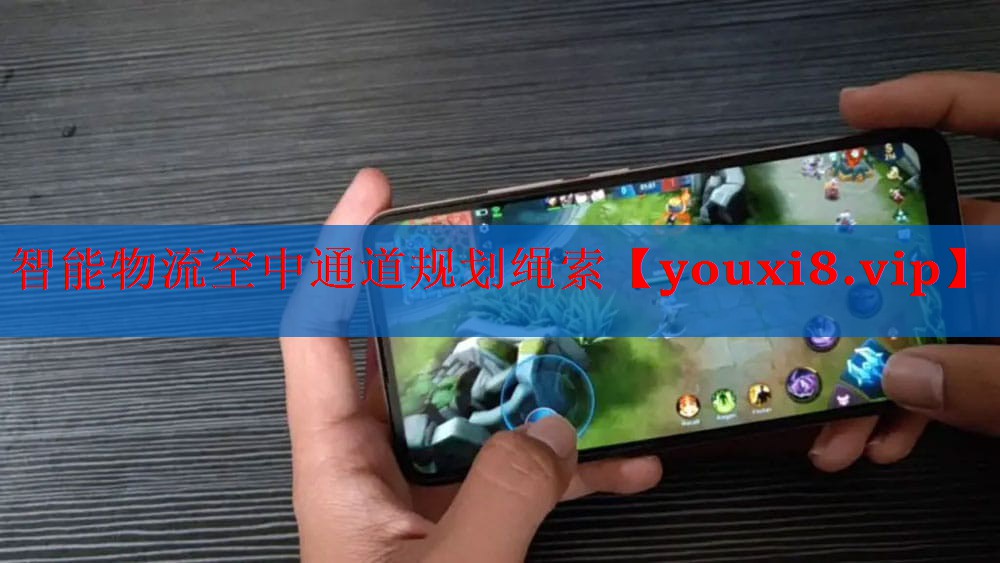智能物流空中通道规划绳索 智能物流空中通道规划绳索